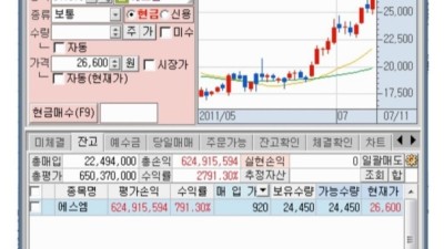 2008년도에 소녀시대 보고 에스엠 주식 산 사람